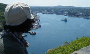 View of St. John's harbour from Signal Hill. 
